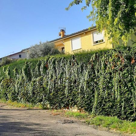 Ma Maison Fleurie Proche Aeroport Lyon St Exupery, Ldlc Arena, Groupama Stadium,Eurexpo Janneyrias Buitenkant foto