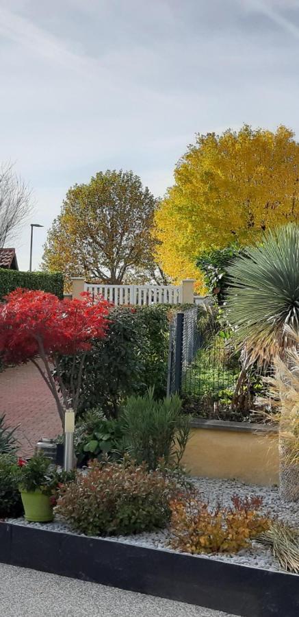 Ma Maison Fleurie Proche Aeroport Lyon St Exupery, Ldlc Arena, Groupama Stadium,Eurexpo Janneyrias Buitenkant foto