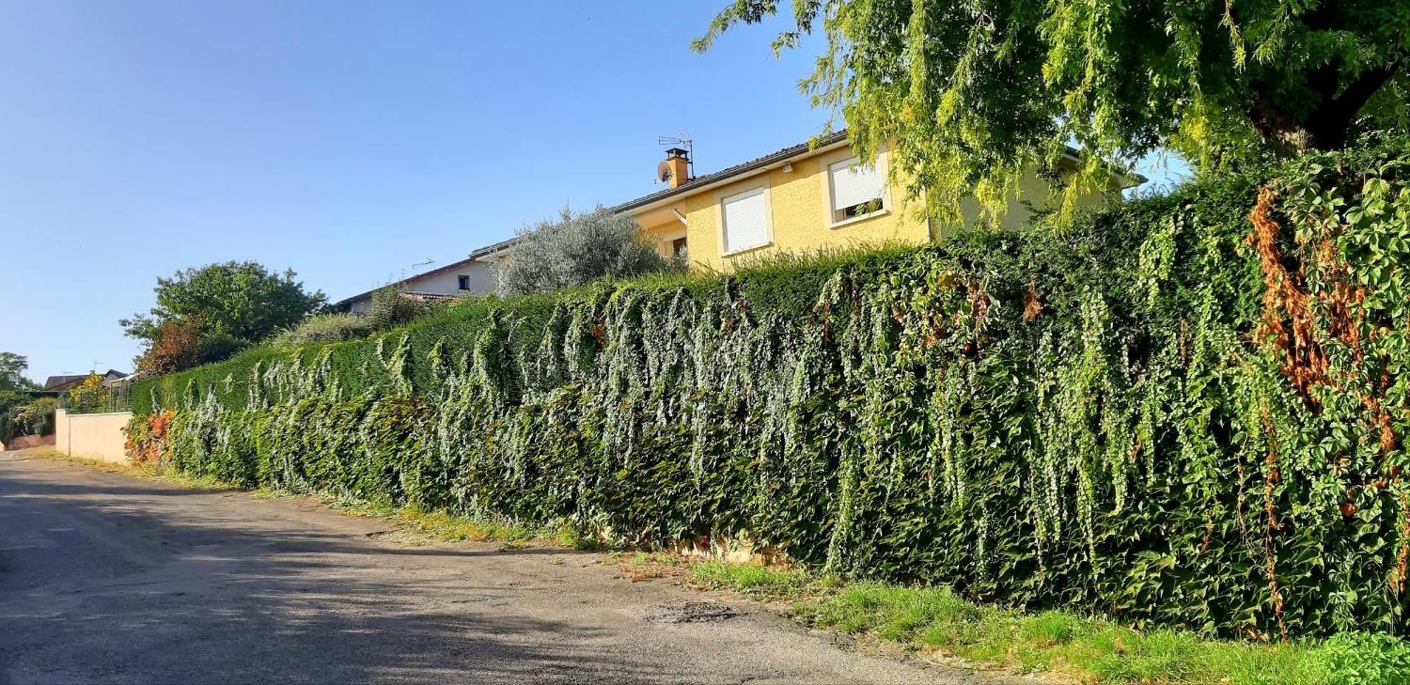 Ma Maison Fleurie Proche Aeroport Lyon St Exupery, Ldlc Arena, Groupama Stadium,Eurexpo Janneyrias Buitenkant foto