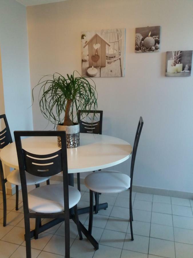 Ma Maison Fleurie Proche Aeroport Lyon St Exupery, Ldlc Arena, Groupama Stadium,Eurexpo Janneyrias Buitenkant foto
