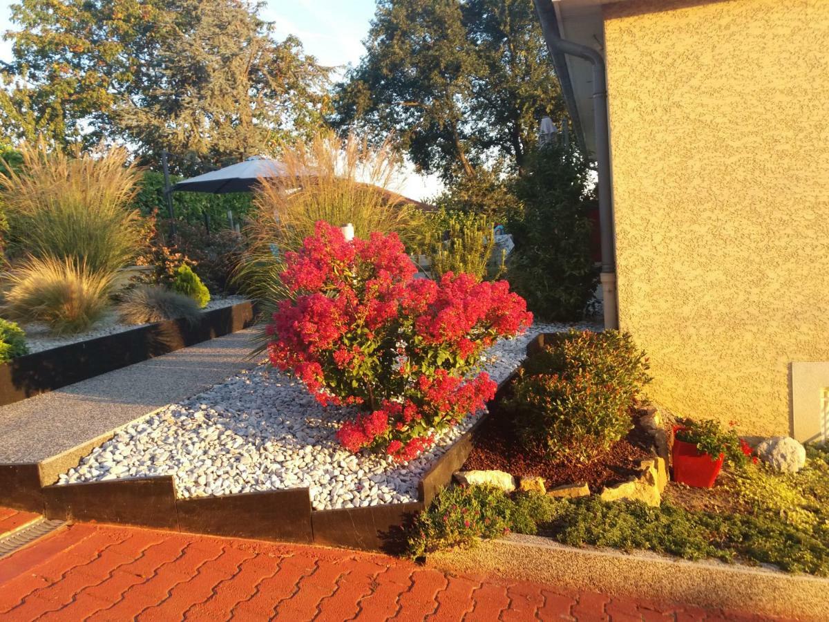 Ma Maison Fleurie Proche Aeroport Lyon St Exupery, Ldlc Arena, Groupama Stadium,Eurexpo Janneyrias Buitenkant foto