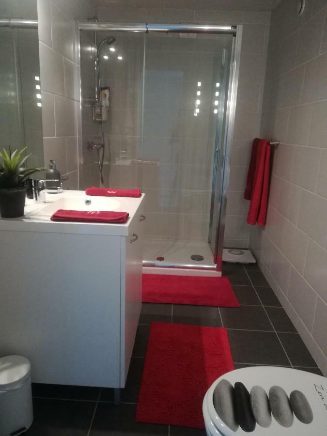 Ma Maison Fleurie Proche Aeroport Lyon St Exupery, Ldlc Arena, Groupama Stadium,Eurexpo Janneyrias Buitenkant foto
